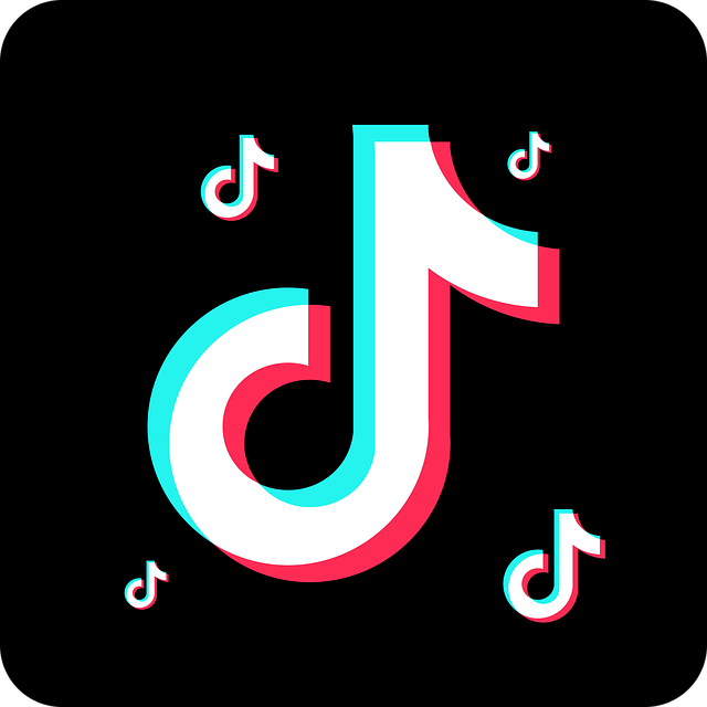 TikTok Logo